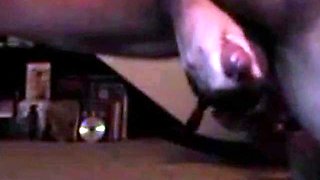 Amateur Daddies and Bears Masturbating