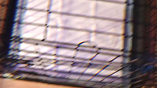 Arise, Slave! Admire - Mistress Julia