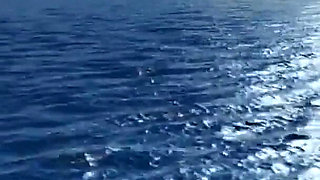 Full Video! - Spicy Home Sex - Exciting Film with Beautiful Pornstars