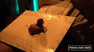 Needle Bondage and CBT