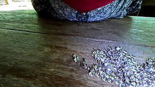 Put your tits in the thumbtacks