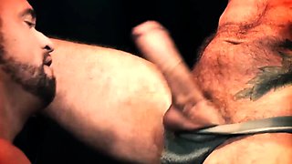 Seeding A Muscular Bottom