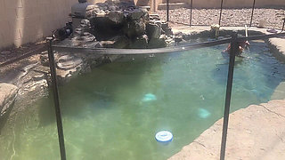 BBW Cleaning Her Pool