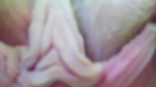 Hollis Ireland - Underwater Pink Shots