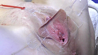 3 Licking Pussy Spread Far From Very Close