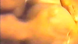 N2 The Gene Pool Black and Ebony