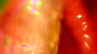 Inside Me the Journey of the Orange