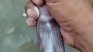Desi cock big cock black Cock