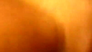 Hot Wild Cocks for Hot Wild Bitches