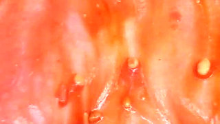 Julie Cunningham Sploshing - Short Slowed Down Clip of My Hug Tits Covered in Beans Being Shaken Side to Side Slowly