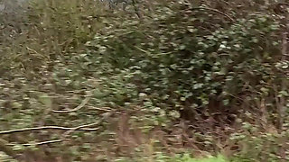 Hot Girl Road Side Pickup W/ Chloehotwife