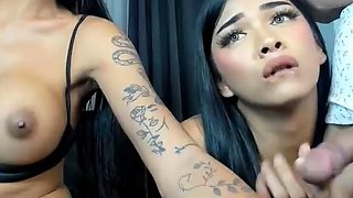 Shemale Tranny Sucks Dildo Blowjob