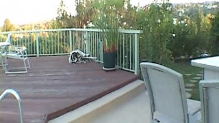 Seductive Brunette Babes Seduce and Share Lucky Guy