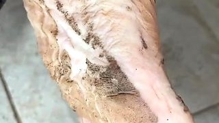 Blonde emo amateur solo masturbation